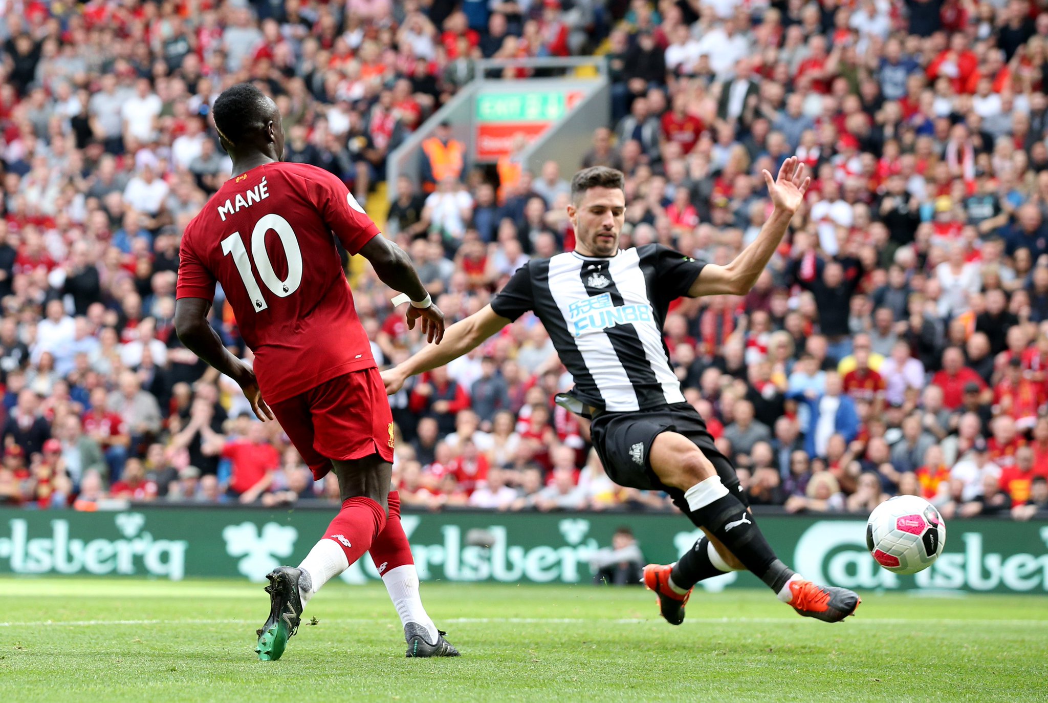 展示了出色 展示了出色